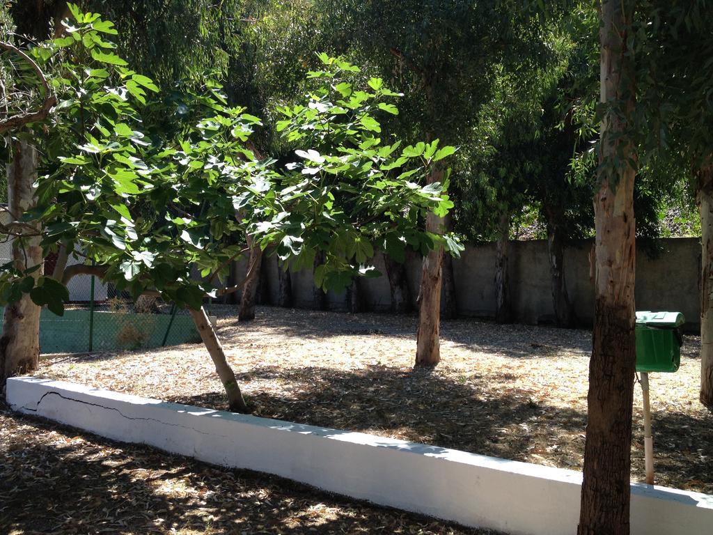 Camping B&B Gioiosa Gioiosa Marea Bagian luar foto