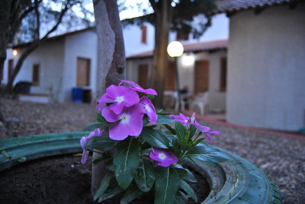 Camping B&B Gioiosa Gioiosa Marea Bagian luar foto