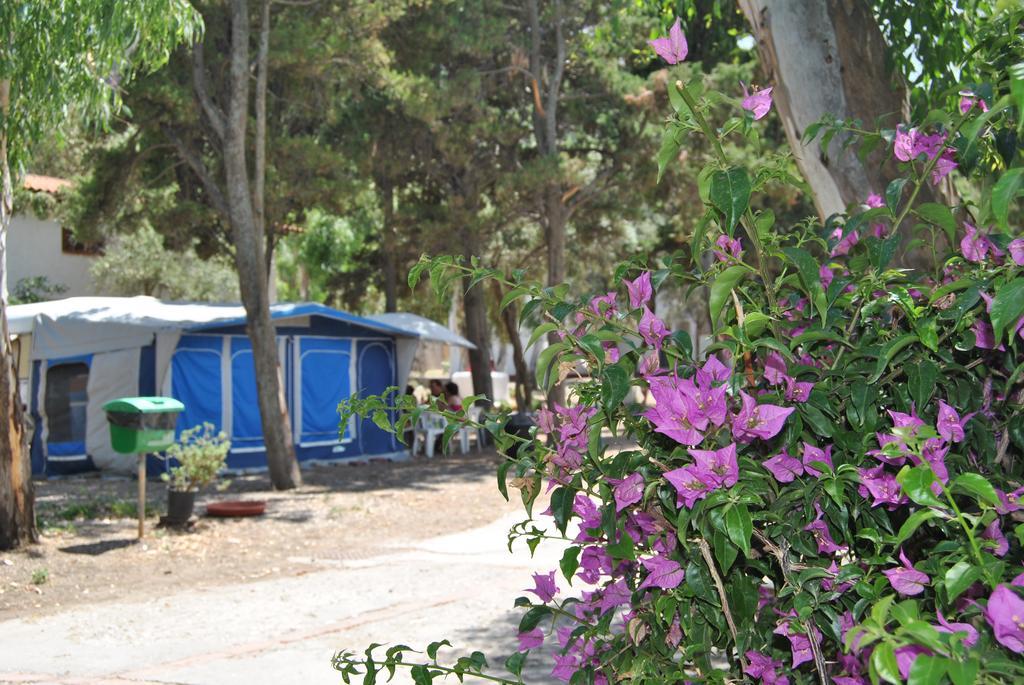 Camping B&B Gioiosa Gioiosa Marea Bagian luar foto