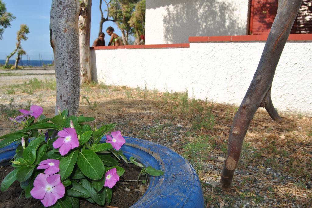 Camping B&B Gioiosa Gioiosa Marea Bagian luar foto