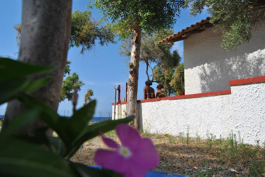 Camping B&B Gioiosa Gioiosa Marea Bagian luar foto